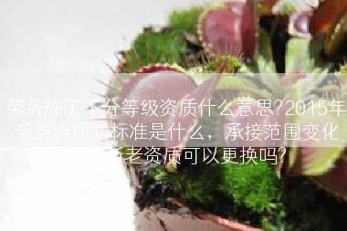 劳务施工不分等级资质什么意思?2015年劳务资质新标准是什么，承接范围变化以及新老资质可以更换吗?