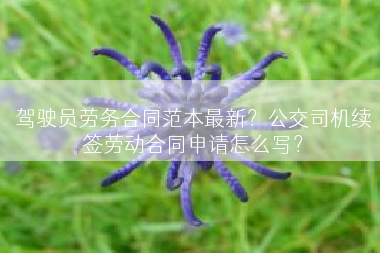 驾驶员劳务合同范本最新？公交司机续签劳动合同申请怎么写？