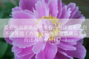 劳务公司资质证书里有一句话劳务分包不分等级（办理《劳务派遣资质证书》应出具哪些材料？）