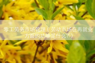 零工劳务市场管理（劳动市场在再就业方面的功能是什么?）