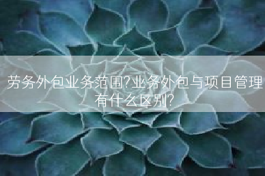 劳务外包业务范围?业务外包与项目管理有什么区别?