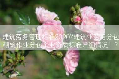 建筑劳务管理标准2020?建筑业劳务分包砌筑作业分包企业资质标准详细情况！?