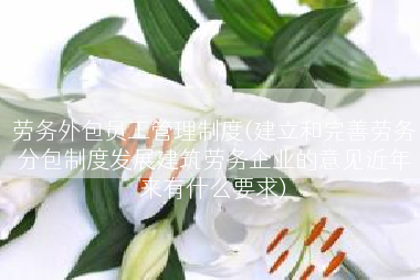 劳务外包员工管理制度(建立和完善劳务分包制度发展建筑劳务企业的意见近年来有什么要求)