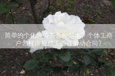 简单的个体户劳务合同范本？个体工商户怎样同雇佣工签订劳动合同？