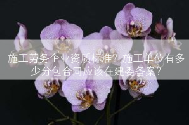 施工劳务企业资质标准？施工单位有多少分包合同应该在建委备案？