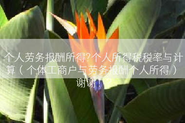 个人劳务报酬所得?个人所得税税率与计算（个体工商户与劳务报酬个人所得） 谢谢！?
