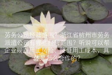劳务公司经营范围？浙江省杭州市劳务派遣公司有哪些经营范围？听说可以帮企业规避用工风险、降低用工成本，具体是怎么合作的？