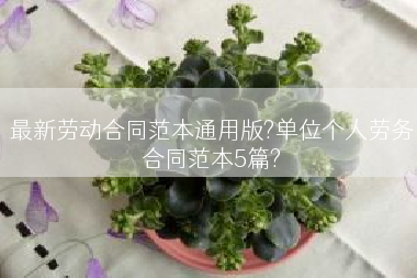 最新劳动合同范本通用版?单位个人劳务合同范本5篇?