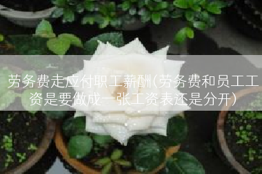 劳务费走应付职工薪酬(劳务费和员工工资是要做成一张工资表还是分开)