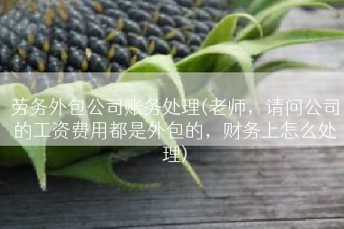 劳务外包公司账务处理(老师，请问公司的工资费用都是外包的，财务上怎么处理)