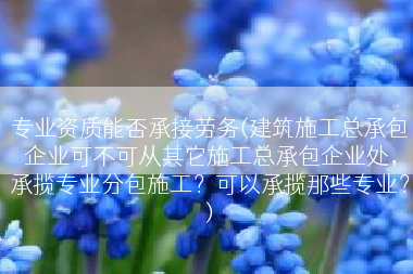 专业资质能否承接劳务(建筑施工总承包企业可不可从其它施工总承包企业处，承揽专业分包施工？可以承揽那些专业？)