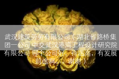 武汉建筑劳务有限公司（湖北省路桥集团一公司 中交武汉港湾工程设计研究院有限公司 哪个公司好，待遇高，有发展前途啊。。谢谢）