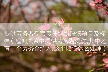 提供劳务者受害责任纠纷赔偿项目及标准（雇佣关系中提供劳务者受伤,其中还有一个劳务介绍人,这个赔偿怎么处理）