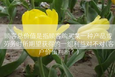 顾客总价值是指顾客购买某一种产品或劳务时所期望获得的一组利益对不对(客户价值判断？)