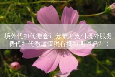 境外代扣代缴会计分录（支付境外服务费代扣代缴增值税有抵扣期限吗？）