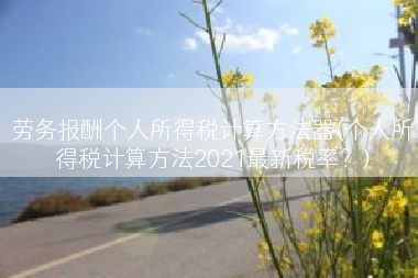 劳务报酬个人所得税计算方法器(个人所得税计算方法2021最新税率？)