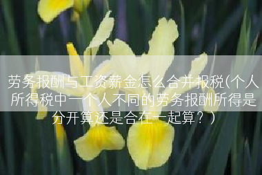 劳务报酬与工资薪金怎么合并报税(个人所得税中一个人不同的劳务报酬所得是分开算还是合在一起算？)