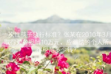 一次性筷子执行标准？张某在2010年3月取得劳务报酬10万元，应缴纳的个人所得税是多少钱？
