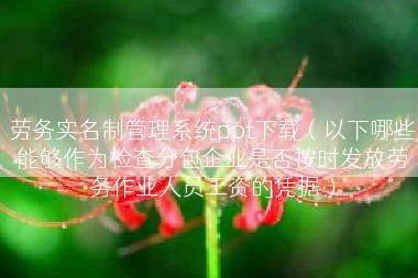 劳务实名制管理系统ppt下载（以下哪些能够作为检查分包企业是否按时发放劳务作业人员工资的凭据）