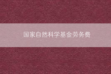 国家自然科学基金劳务费