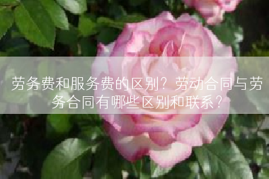 劳务费和服务费的区别？劳动合同与劳务合同有哪些区别和联系？