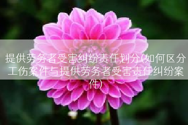 提供劳务者受害纠纷责任划分(如何区分工伤案件与提供劳务者受害责任纠纷案件)