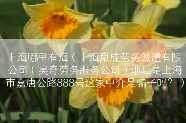 上海哪里有海（上海泉成劳务派遣有限公司（吴奇劳务服务公司）地址是上海市嘉唐公路888号这家中介是骗子吗？）