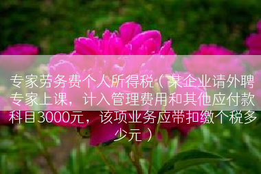 专家劳务费个人所得税（某企业请外聘专家上课，计入管理费用和其他应付款科目3000元，该项业务应带扣缴个税多少元）