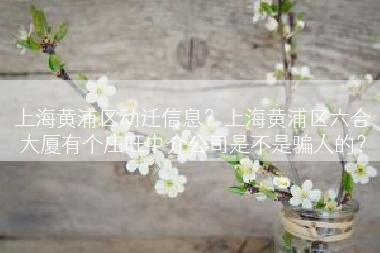 上海黄浦区动迁信息？上海黄浦区六合大厦有个庄旺中介公司是不是骗人的？
