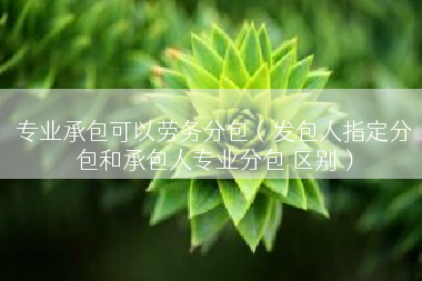 专业承包可以劳务分包（发包人指定分包和承包人专业分包 区别）