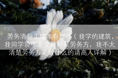 劳务清包工成本有哪些（我学的建筑，我同学说毕业了最好呆劳务方，我不太清楚劳务方是做什么的请高人详解）