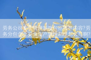 劳务公司安全管理制度包括哪些内容?劳务分包企业安全生产管理制度怎么写啊?
