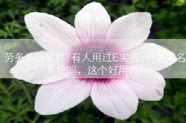 劳务系统软件?有人用过E实名-劳务实名系统吗，这个好用吗?