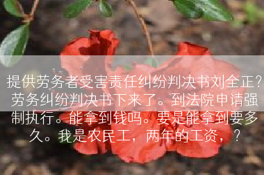 提供劳务者受害责任纠纷判决书刘全正？劳务纠纷判决书下来了。到法院申请强制执行。能拿到钱吗。要是能拿到要多久。我是农民工，两年的工资，？