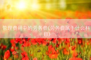 管理费用中的劳务费(劳务费属于什么科目)