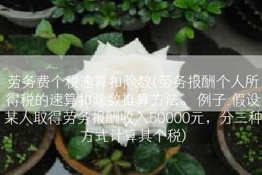 劳务费个税速算扣除数(劳务报酬个人所得税的速算扣除数推算方法。 例子:假设某人取得劳务报酬收入50000元，分三种方式计算其个税)