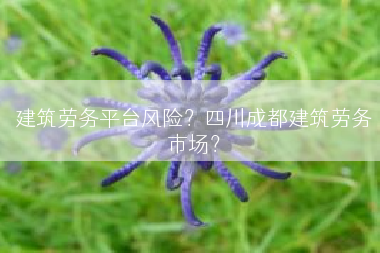 建筑劳务平台风险？四川成都建筑劳务市场？
