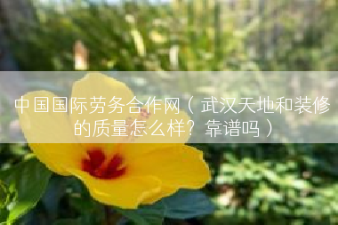 中国国际劳务合作网（武汉天地和装修的质量怎么样？靠谱吗）