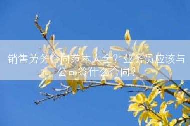 销售劳务合同范本大全？业务员应该与公司签什么合同？