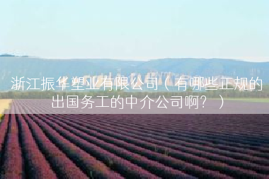 浙江振华塑业有限公司（有哪些正规的出国务工的中介公司啊？）
