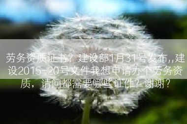 劳务资质证书？建设部1月31号发布,,建设2015-20号文件我想申请办个劳务资质，请问都需要哪些证件？谢谢？