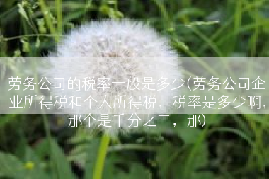 劳务公司的税率一般是多少(劳务公司企业所得税和个人所得税，税率是多少啊，那个是千分之三，那)