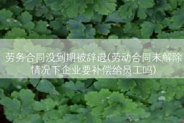 劳务合同没到期被辞退(劳动合同未解除情况下企业要补偿给员工吗)