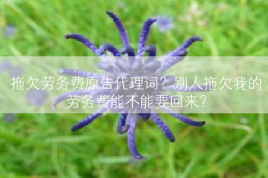 拖欠劳务费原告代理词？别人拖欠我的劳务费能不能要回来？