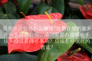 劳务中介公司怎么赚钱?我想在我的家乡开一个劳务公司，请问需要办理哪些手续？应注意哪些事项？应该怎样很好的营运?