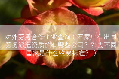 对外劳务合作企业查询（石家庄有出国劳务派遣资质的有哪些公司？？去不同国家是什么收费标准？）