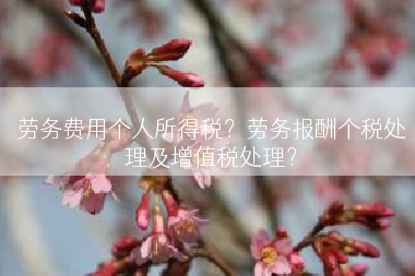 劳务费用个人所得税？劳务报酬个税处理及增值税处理？