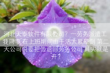 河北天泰软件有限公司？一劳务派遣工 我同事 在上班期间由于活太累晕倒 第二天公司说要把他退回劳务公司 其实就是开？