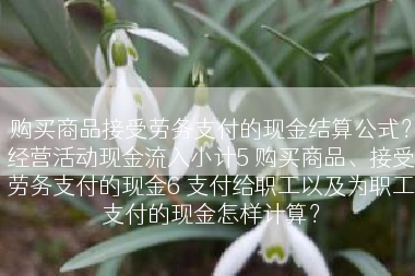 购买商品接受劳务支付的现金结算公式？经营活动现金流入小计5 购买商品、接受劳务支付的现金6 支付给职工以及为职工支付的现金怎样计算？