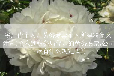 税局代个人开劳务发票个人所得税怎么计算(个人到税务局代开的劳务发票,公司下账有什么规定吗?)